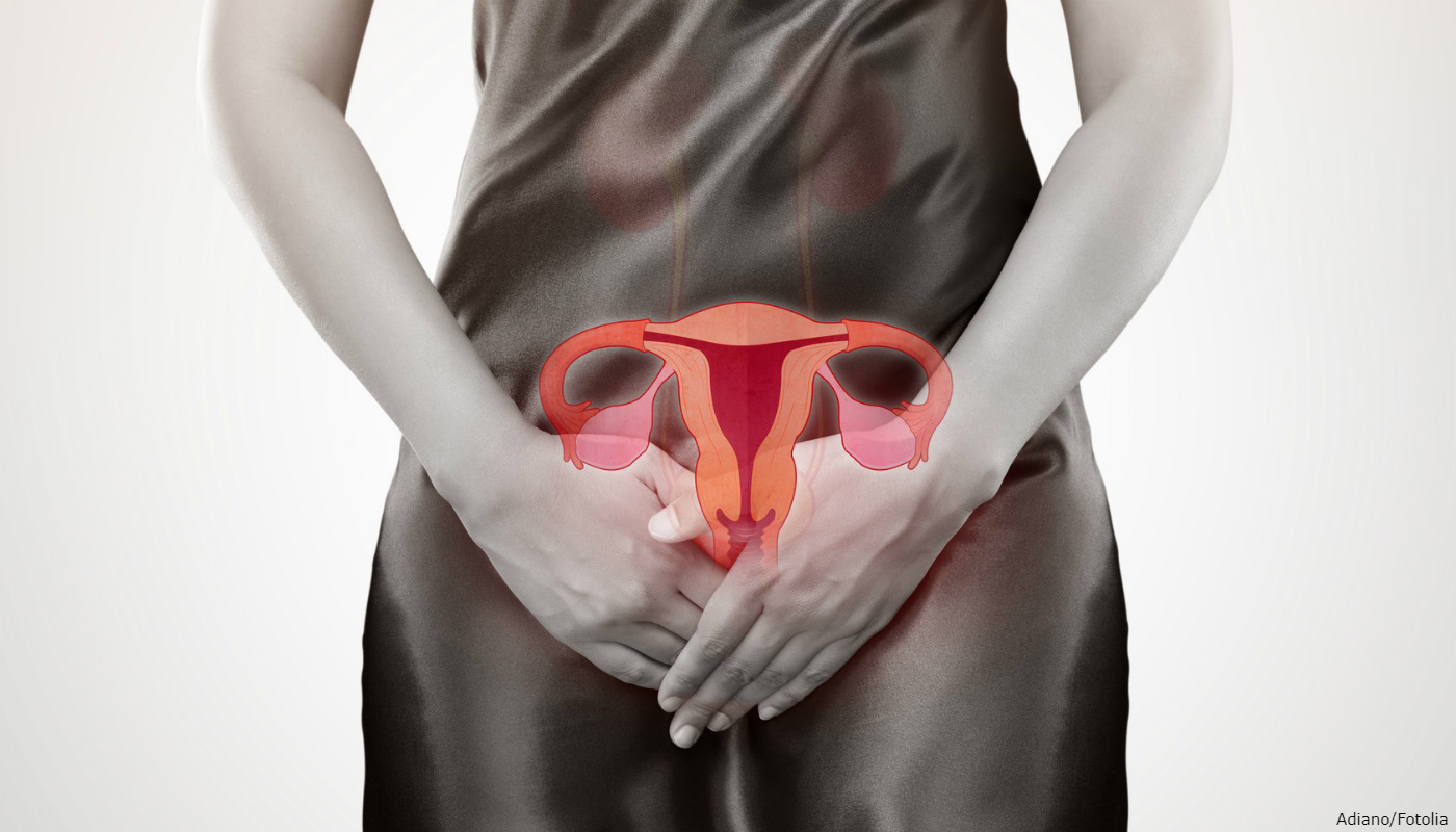 Fito-hormônio para menopausa: porque preferi-los ao invés da reposição hormonal tradicional